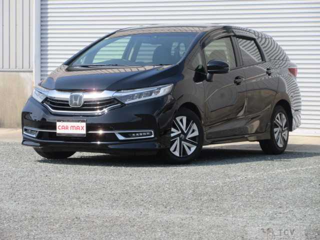 2019 Other All Other All