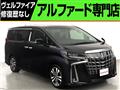 2019 Toyota Alphard G