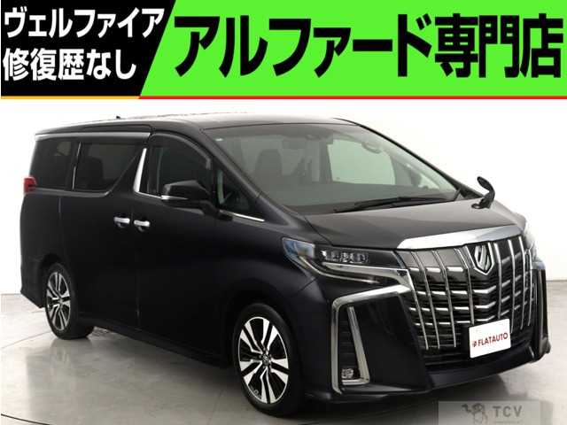 2019 Toyota Alphard G