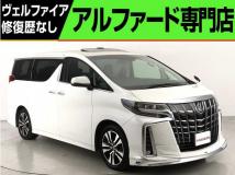 2019 Toyota Alphard G
