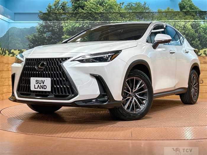 2025 Lexus NX