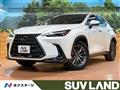 2025 Lexus NX