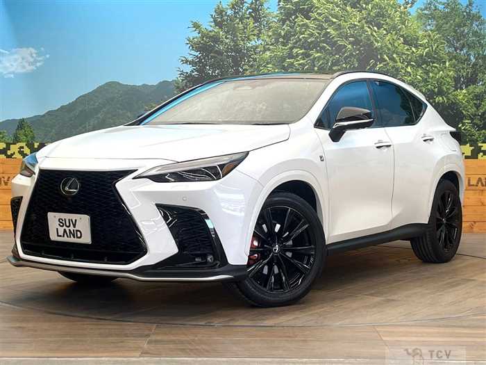 2023 Lexus NX