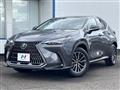 2024 Lexus NX