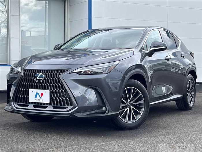 2024 Lexus NX