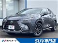 2024 Lexus NX