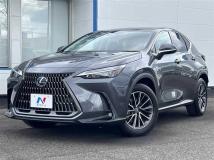 2024 Lexus NX