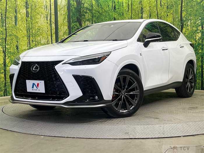 2023 Lexus NX