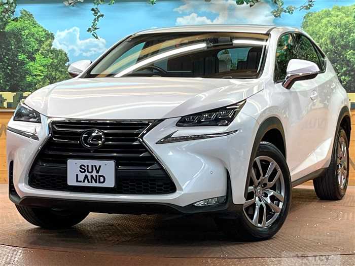 2015 Lexus NX