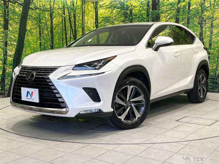 2018 Lexus NX