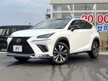 2018 Lexus NX