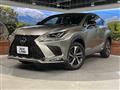 2019 Lexus NX