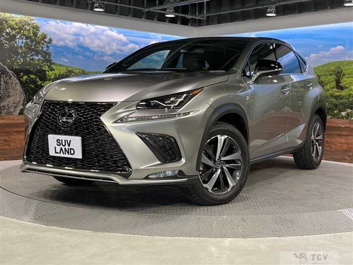 2019 Lexus NX