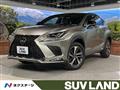 2019 Lexus NX