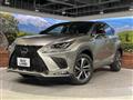 2019 Lexus NX