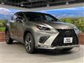 2019 Lexus NX
