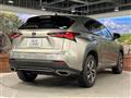 2019 Lexus NX