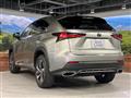 2019 Lexus NX