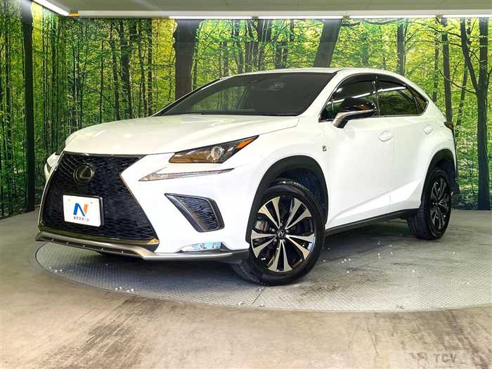 2020 Lexus NX