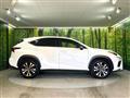 2020 Lexus NX