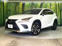 2020 Lexus NX