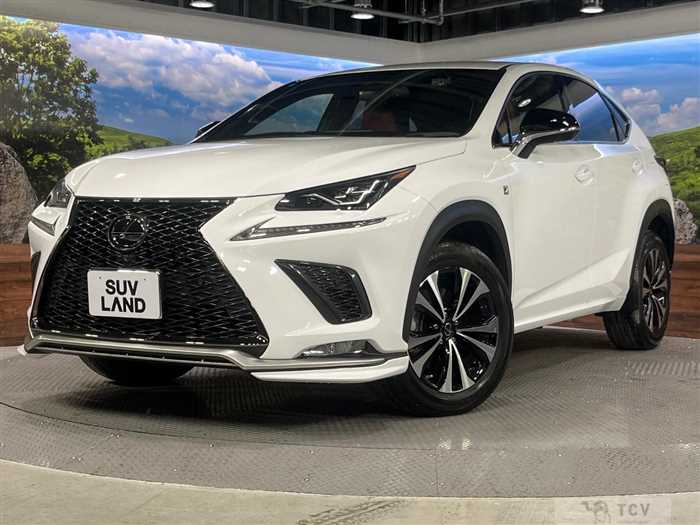 2020 Lexus NX