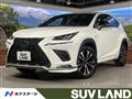 2020 Lexus NX