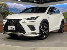 2020 Lexus NX