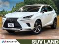 2020 Lexus NX