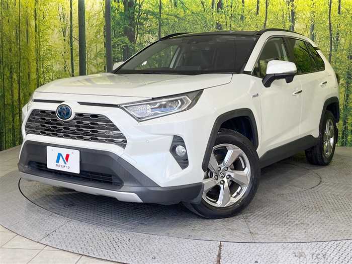 2019 Toyota RAV4