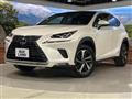 2019 Lexus NX