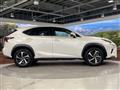 2019 Lexus NX