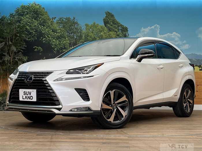 2021 Lexus NX