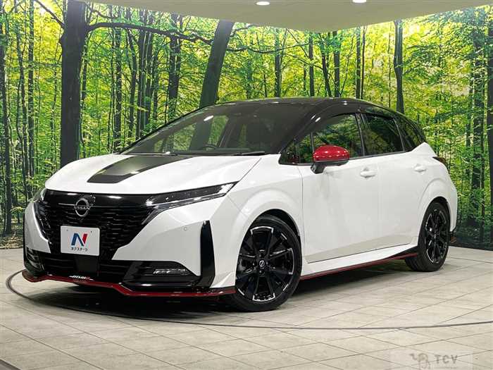 2021 Nissan Nissan Others