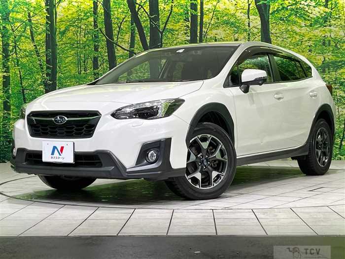 2019 Subaru Subaru Others