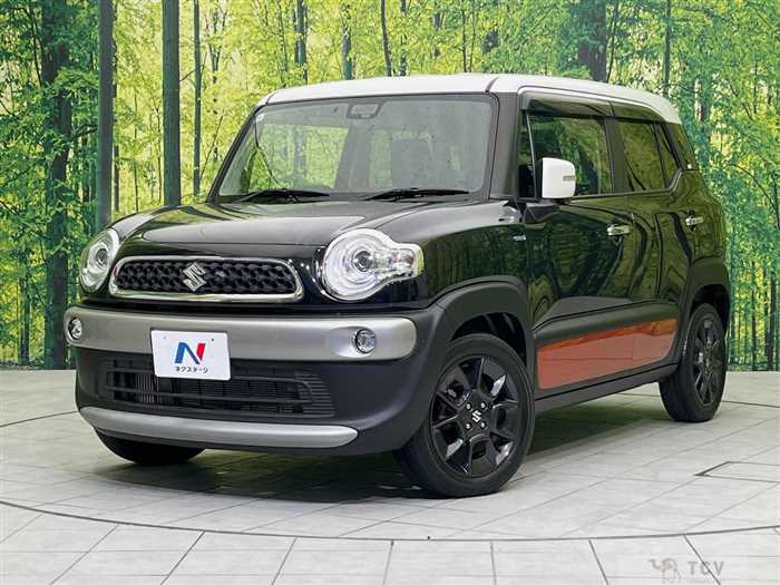 2019 Suzuki Suzuki Others