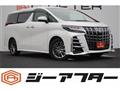 2019 Toyota Alphard G