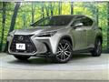 2023 Lexus NX