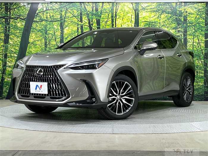 2023 Lexus NX