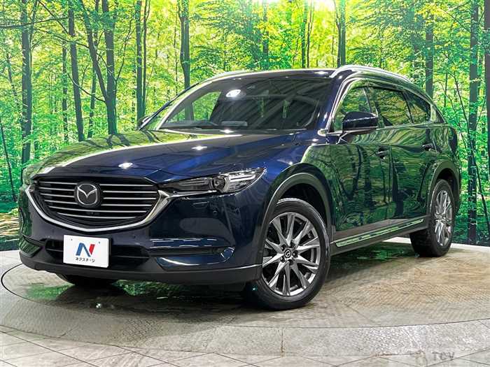 2019 Mazda CX-8