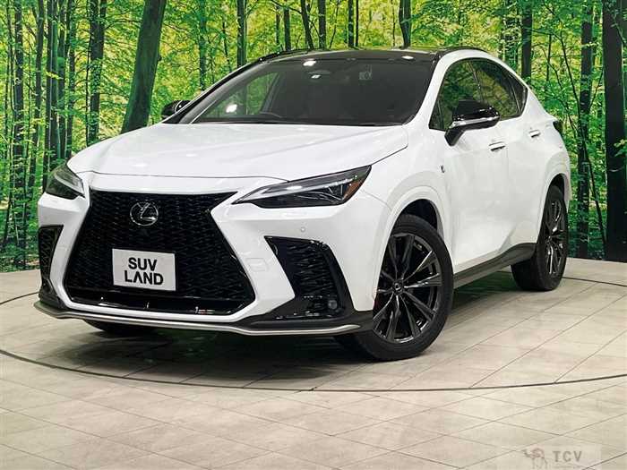 2023 Lexus NX