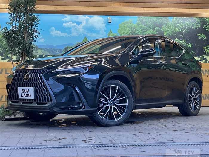 2024 Lexus NX