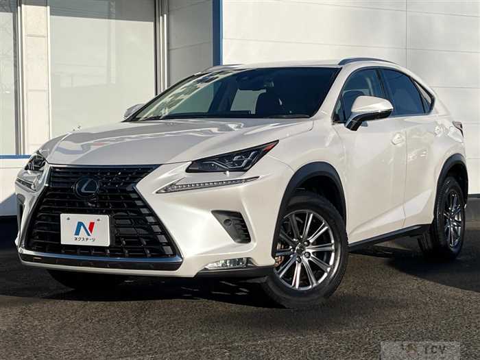 2019 Lexus NX