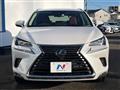 2019 Lexus NX