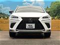 2020 Lexus NX
