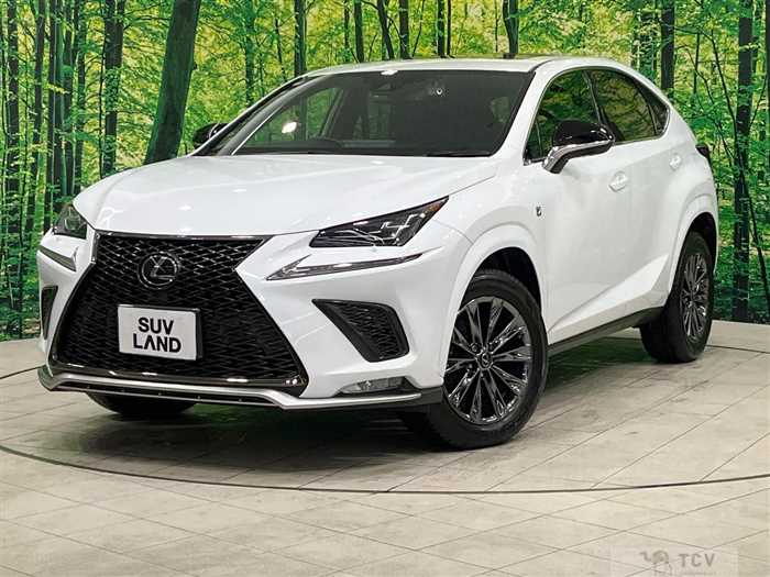 2020 Lexus NX