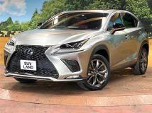 2019 Lexus NX