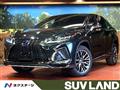 2021 Lexus RX