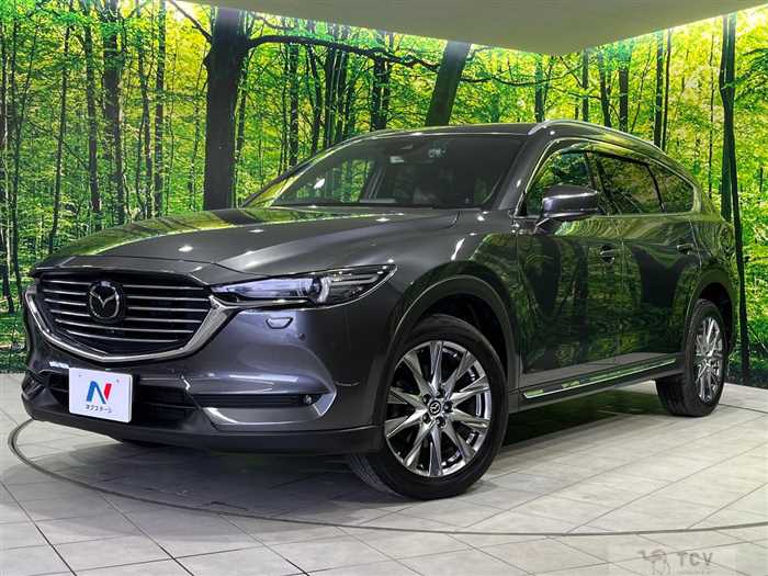 2019 Mazda CX-8