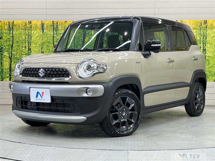 2019 Suzuki Suzuki Others